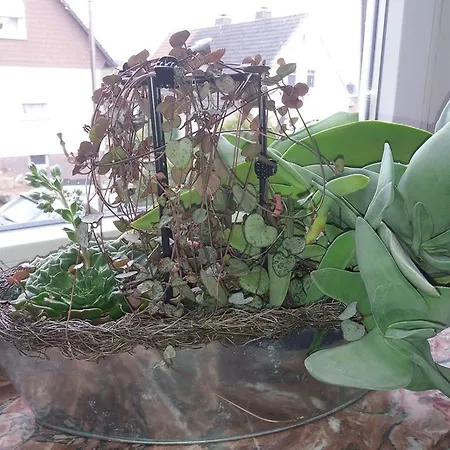 Haus Maruna * Schauenburg