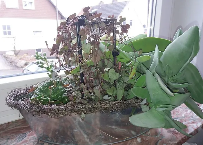 Haus Maruna * Schauenburg